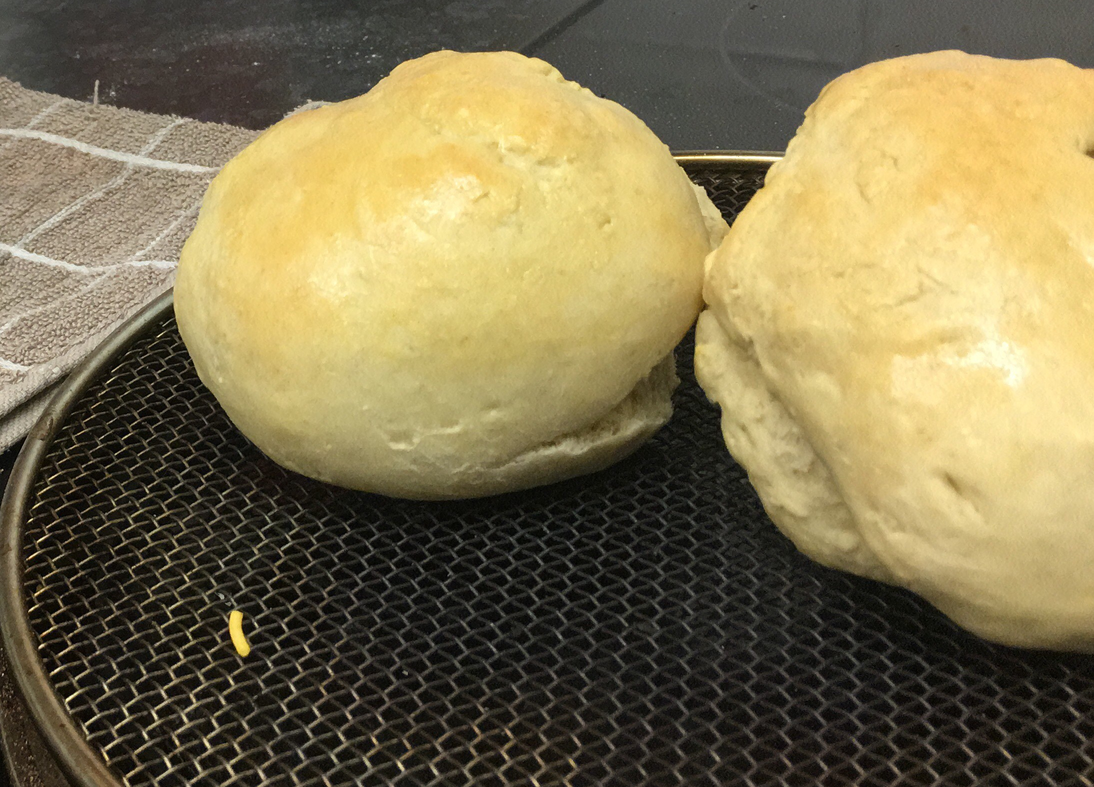 CBC52CA3-FC68-4C08-8473-A0EC898A677F